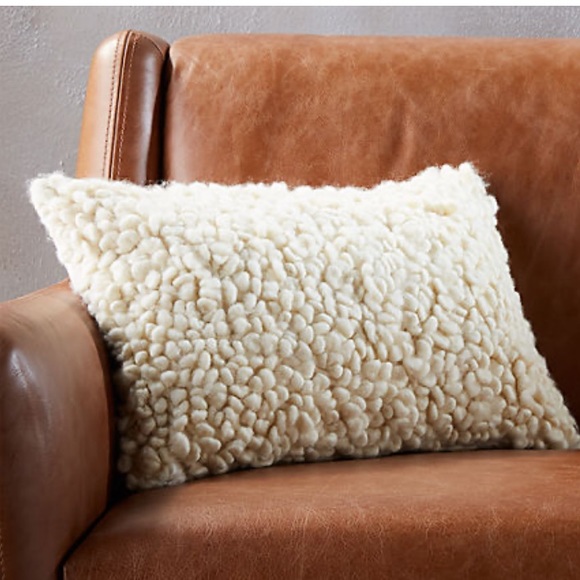 CB2 Other - CB2 Poodle Pillow Cover